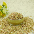 ALIBABA USED EXCLUSIVELYSweet Buckwheat (GF4)